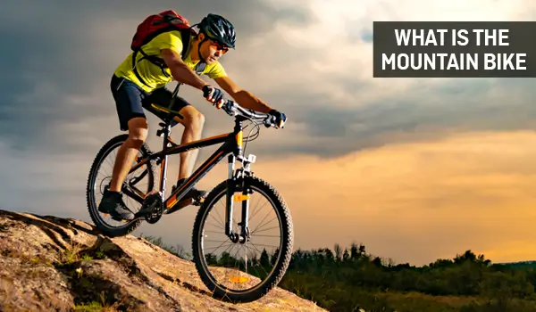 What Is the Difference Between Downhill Bike and Mountain Bike?