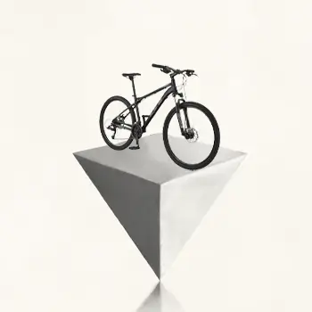 Perfect Geometry bicycles